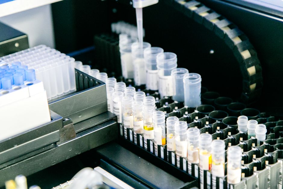 What Lab Services Are Near New Port Richey FL?